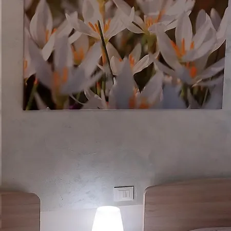 Διαμέρισμα Magnolia